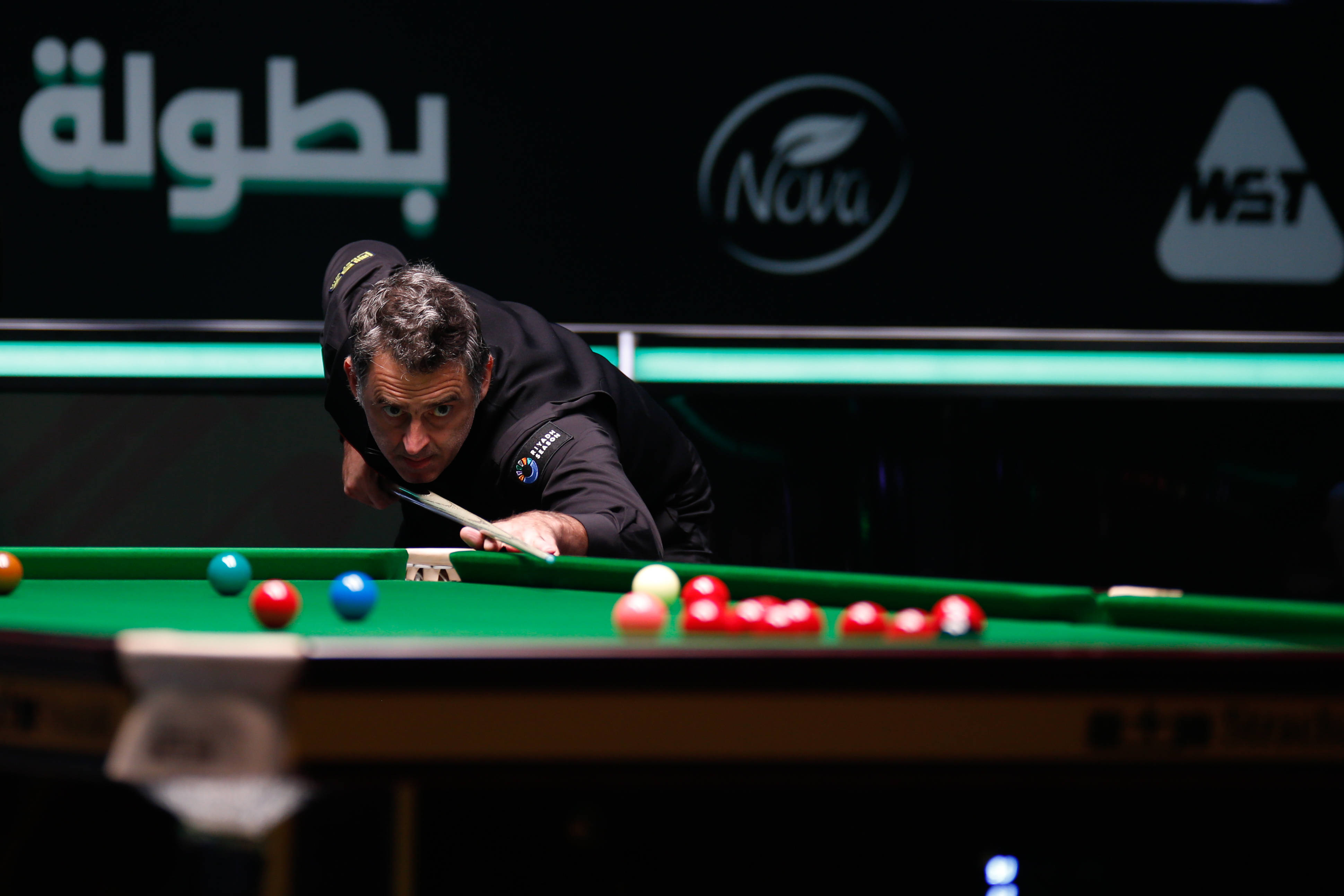 自己的早期 自己的早期