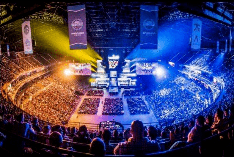 境下的组织 境下的组织