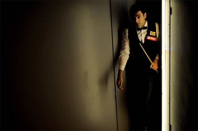 动体验项目 动体验项目